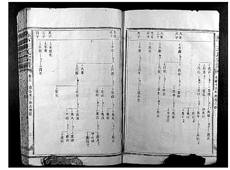 [王]赤下王氏宗谱 (福建) 赤下王氏家谱.pdf