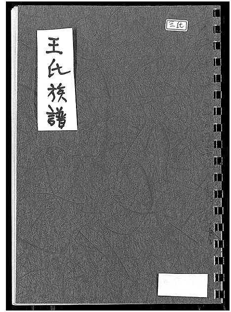 [王]王氏族谱 (福建) 王氏家谱_一.pdf