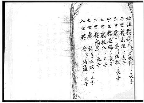 [魏]魏氏族谱_不分卷 (福建) 魏氏家谱.pdf