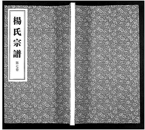 [杨]杨氏宗谱_11卷 (福建) 杨氏家谱_七.pdf