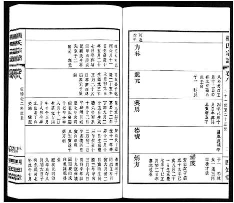 [杨]杨氏宗谱_11卷 (福建) 杨氏家谱_八.pdf