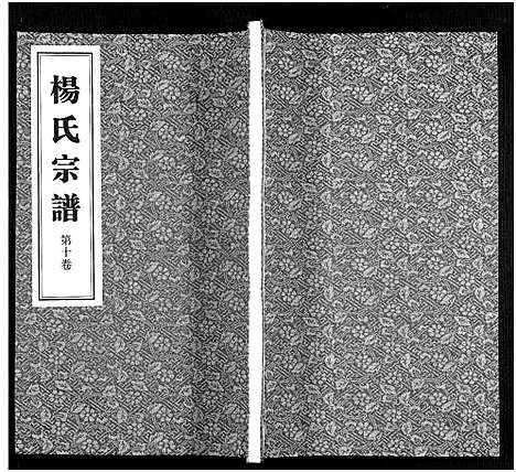 [杨]杨氏宗谱_11卷 (福建) 杨氏家谱_十.pdf