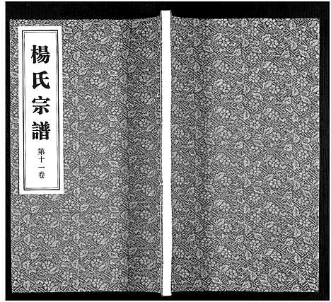 [杨]杨氏宗谱_11卷 (福建) 杨氏家谱_十一.pdf