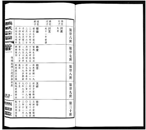 [杨]杨氏宗谱_11卷 (福建) 杨氏家谱_十一.pdf