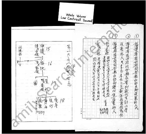 [杨]杨氏家谱 (福建) 杨氏家谱.pdf