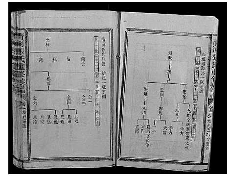 [张]清河张氏族谱 (福建) 清河张氏家谱_二.pdf