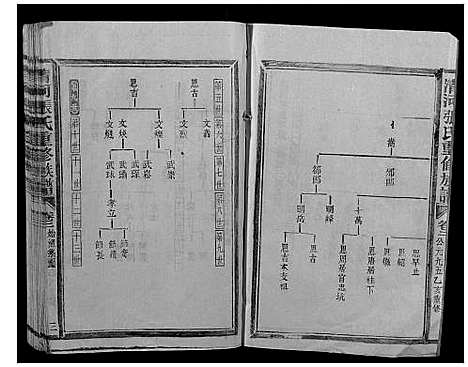 [张]清河张氏族谱 (福建) 清河张氏家谱_二.pdf