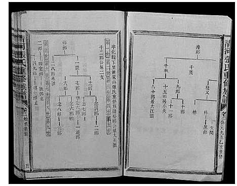 [张]清河张氏族谱 (福建) 清河张氏家谱_二.pdf