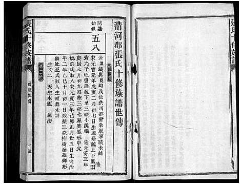 [张]张氏十修族谱_不分卷 (福建) 张氏十修家谱_八.pdf