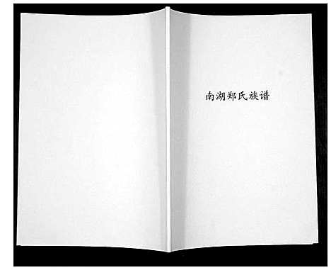 [郑]南湖郑氏族谱_不分卷 (福建) 南湖郑氏家谱.pdf