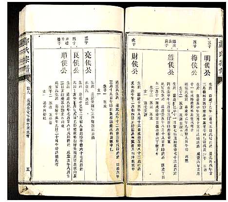 [郑]郑氏宗谱 (福建) 郑氏家谱_九.pdf