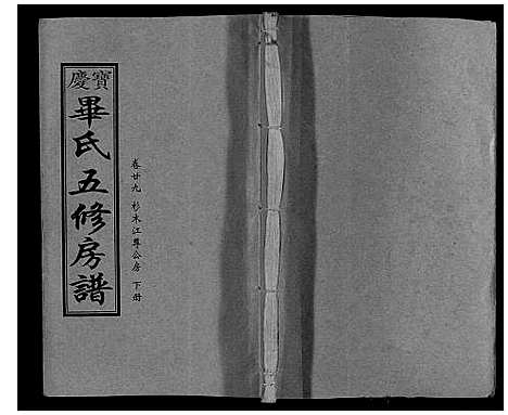 [毕]宝庆毕氏通谱_30卷首末各1卷 (湖南) 宝庆毕氏通谱_十二.pdf