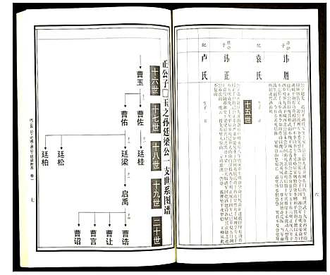 [曹]曹氏统谱 (湖南) 曹氏统谱_三十.pdf