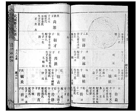 [曾]武城曾氏续谱_28卷首1卷 (湖南) 武城曾氏续谱_九.pdf