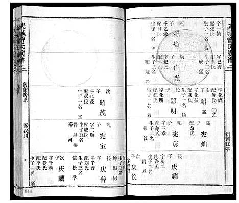 [曾]武城曾氏续谱_28卷首1卷 (湖南) 武城曾氏续谱_十.pdf