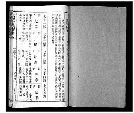 [曾]武城曾氏续谱_28卷首1卷 (湖南) 武城曾氏续谱_十九.pdf