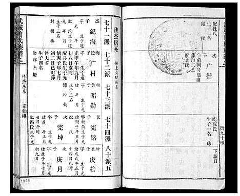 [曾]武城曾氏续谱_28卷首1卷 (湖南) 武城曾氏续谱_十九.pdf