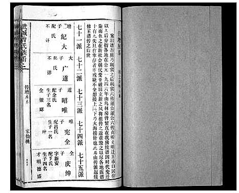 [曾]武城曾氏续谱_28卷首1卷 (湖南) 武城曾氏续谱_二十.pdf