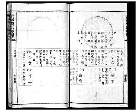 [曾]武城曾氏续谱_28卷首1卷 (湖南) 武城曾氏续谱_二十.pdf