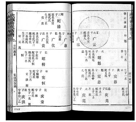 [曾]武城曾氏续谱_28卷首1卷 (湖南) 武城曾氏续谱_二十一.pdf