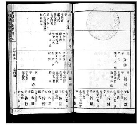 [曾]武城曾氏续谱_28卷首1卷 (湖南) 武城曾氏续谱_二十二.pdf