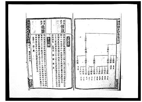 [陈]中国湖南省陈氏四修族谱_49卷首1卷 (湖南) 中国湖南省陈氏四修家谱_九.pdf