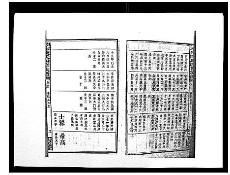 [陈]中国湖南省陈氏四修族谱_49卷首1卷 (湖南) 中国湖南省陈氏四修家谱_二十四.pdf