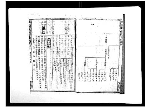 [陈]中国湖南省陈氏四修族谱_49卷首1卷 (湖南) 中国湖南省陈氏四修家谱_四十一.pdf