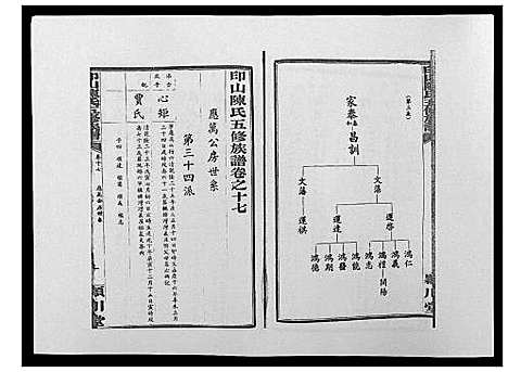 [陈]印山陈氏五修族谱_20卷末1卷 (湖南) 印山陈氏五修家谱_七.pdf