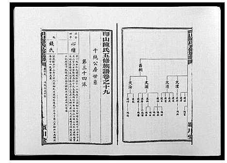 [陈]印山陈氏五修族谱_20卷末1卷 (湖南) 印山陈氏五修家谱_八.pdf