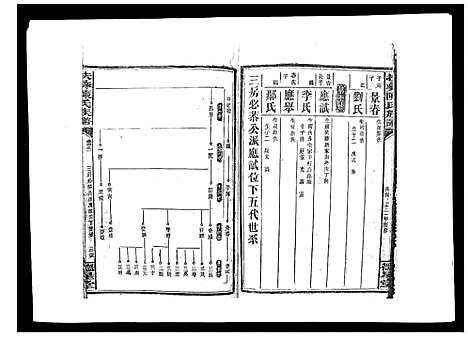 [陈]扶彝陈氏族谱 (湖南) 扶彝陈氏家谱_十五.pdf