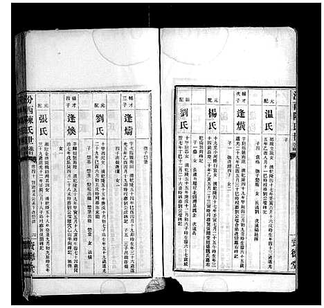 [陈]汾西陈氏世谱_51卷首1卷 (湖南) 汾西陈氏世谱_十四.pdf