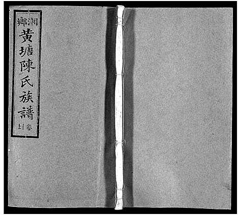 [陈]湘乡黄塘陈氏族谱_29卷_含首2卷-陈氏族谱_黄塘陈氏五修族谱_Xiang Xiang Huang Tang Chen Shi_湘乡黄塘陈氏族谱 (湖南) 湘乡黄塘陈氏家谱_十一.pdf