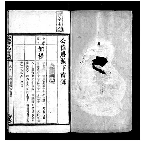 [陈]铁炉陈氏三修族谱 (湖南) 铁炉陈氏三修家谱_五.pdf