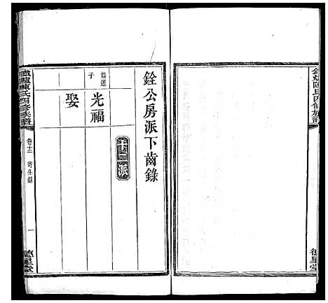 [陈]铁炉陈氏三修族谱 (湖南) 铁炉陈氏三修家谱_十一.pdf