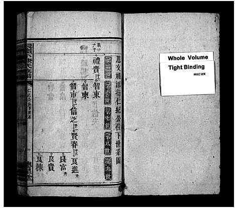 [陈]长岭下陈氏族谱_8卷-陈氏四修家乘_陈氏族谱-长岭下陈氏族谱 (湖南) 长岭下陈氏家谱_四.pdf