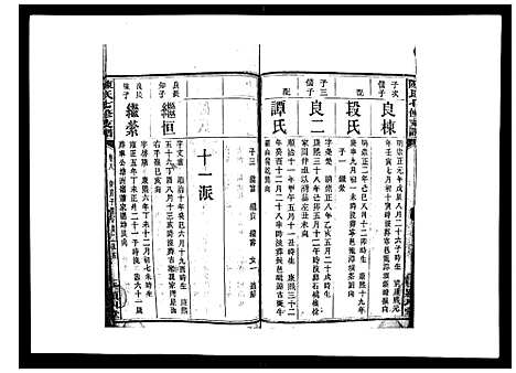 [陈]陈氏七修支谱_20卷首末各1卷 (湖南) 陈氏七修支谱_八.pdf