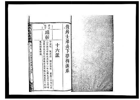 [陈]陈氏七修支谱_20卷首末各1卷 (湖南) 陈氏七修支谱_九.pdf