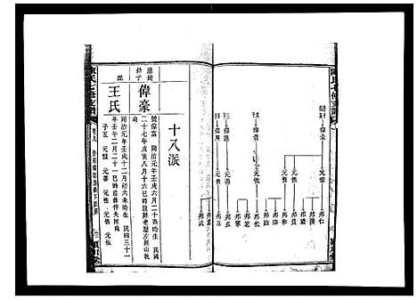 [陈]陈氏七修支谱_20卷首末各1卷 (湖南) 陈氏七修支谱_九.pdf