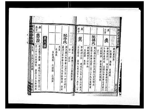 [陈]陈氏四修族谱_22卷 (湖南) 陈氏四修家谱_十五.pdf