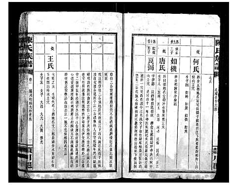 [陈]陈氏族谱 (湖南) 陈氏家谱_二.pdf