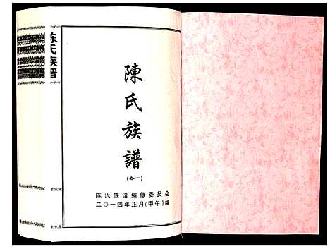 [陈]陈氏族谱 (湖南) 陈氏家谱_一.pdf