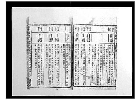 [陈]鵆山大泉陈氏十一修族谱_43卷首1卷 (湖南) 鵆山大泉陈氏十一修家谱_十七.pdf