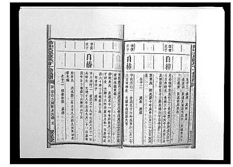 [陈]鵆山大泉陈氏十一修族谱_43卷首1卷 (湖南) 鵆山大泉陈氏十一修家谱_二十.pdf