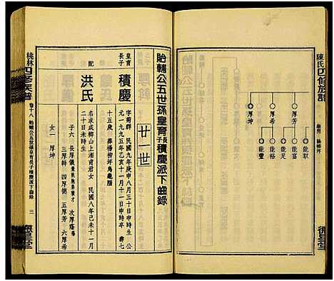 [陈]桃林陈氏四修族谱_残卷-桃林陈氏四修族谱康房房谱_Taolin Chen Shi Sixiu Zupu_桃林陈氏四修族谱 (湖南) 桃林陈氏四修家谱_八.pdf