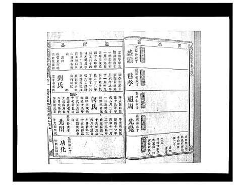 [戴]戴氏九修族谱 (湖南) 戴氏九修家谱_五.pdf