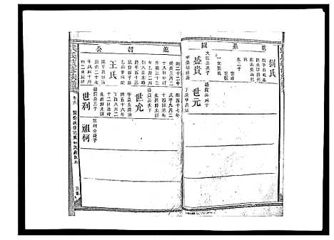 [戴]戴氏九修族谱 (湖南) 戴氏九修家谱_九.pdf