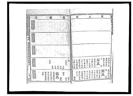 [戴]戴氏九修族谱 (湖南) 戴氏九修家谱_十二.pdf