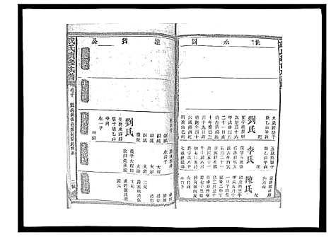 [戴]戴氏九修族谱 (湖南) 戴氏九修家谱_十三.pdf