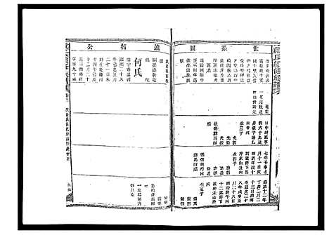 [戴]戴氏九修族谱 (湖南) 戴氏九修家谱_十四.pdf